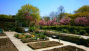 Regent_s_park_allotment_garden_listing