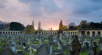 Brompton_cemetery_-_2014_-_great_circle_sunset_-_max_a_rush-0310_signpost