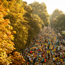 Crowds of Royal Parks Foundation Half Marathon run through the park in autumn